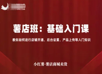 小红薯薯店商城卖货，基础入门课，教你如何进行店铺开通、后台设置、产品上传等入门知识-网创吧