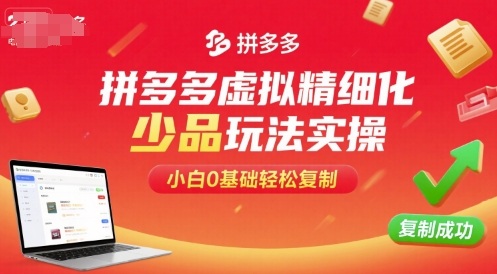 拼多多虚拟精细化少品玩法实操，小白0基础轻松复制-网创吧