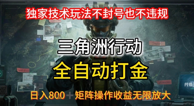 三角洲板砖揭秘项目免费送卡密-网创吧