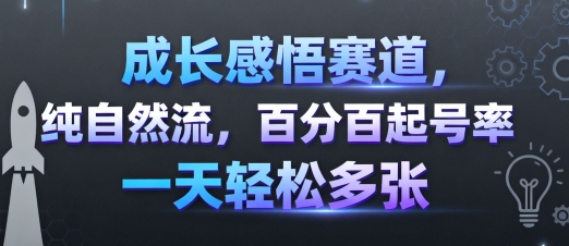 成长感悟赛道，纯自然流，百分百起号率 一天轻松多张-网创吧