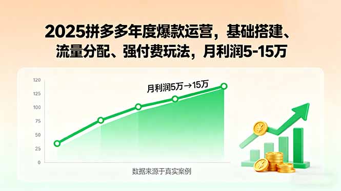 2025拼多多年度爆款运营，基础搭建、流量分配、强付费玩法，月利润5-15万-网创吧
