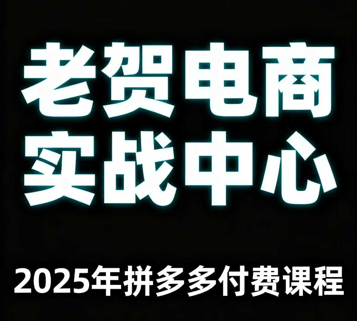 老贺电商2025年拼多多付费课程，用通俗易懂的方法告诉你多多怎么玩-网创吧