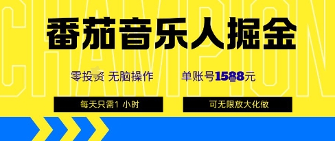 番茄音乐人掘金，单账号最高可撸1k+，可无限矩阵去做，零投入-网创吧