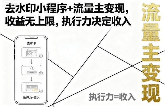 去水印小程序+流量主变现，收益无上限，执行力决定收入-网创吧