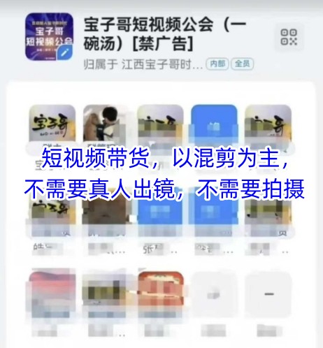 宝子哥头部团队短视频带货，以混剪为主，不需要真人出镜，不需要拍摄【更新9月】-网创吧