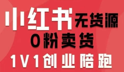 小红书无货源0粉电商课，开店准备、选品策略、笔记撰写、视频剪辑、数据分析、账号打造、资料文档-网创吧