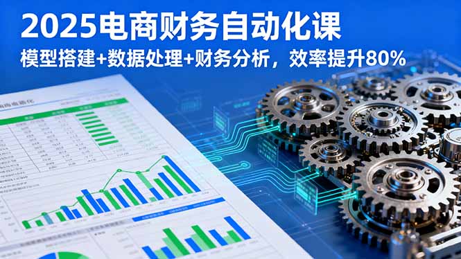 2025电商财务自动化课，模型搭建+数据处理+财务分析，效率提升80%-网创吧