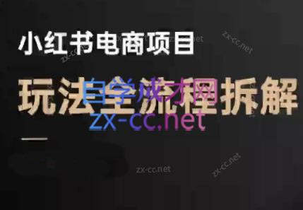 菲菲老师·小红书电商玩法(更新9月)-网创吧