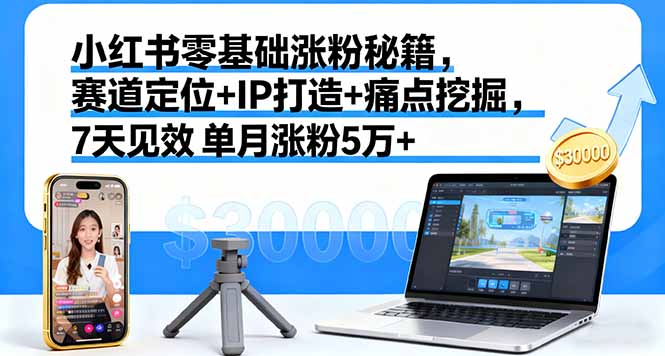 小红书零基础涨粉秘籍，赛道定位+IP打造+痛点挖掘，7天见效 单月涨粉5万+-网创吧