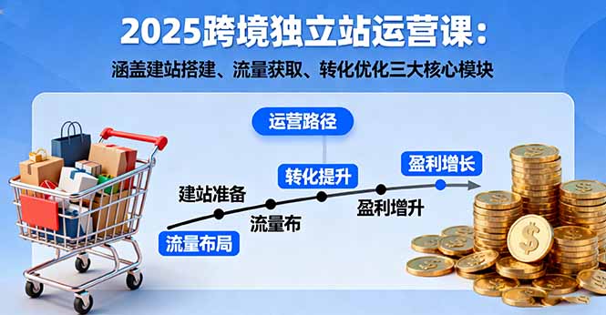 2025跨境独立站运营课：涵盖建站搭建、流量获取、转化优化三大核心模块-网创吧