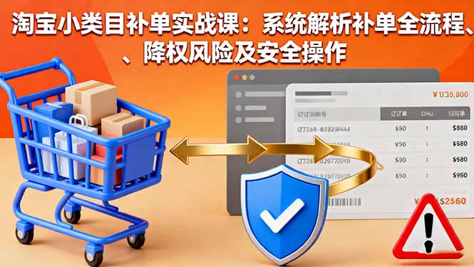 淘宝小类目补单实战课:系统解析补单全流程、降权风险及安全操作-网创吧