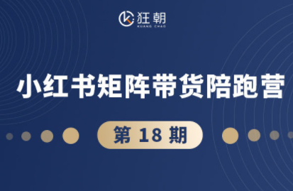 盗坤·抖音小红书视频号短视频带货与直播变现(11-18期)-网创吧