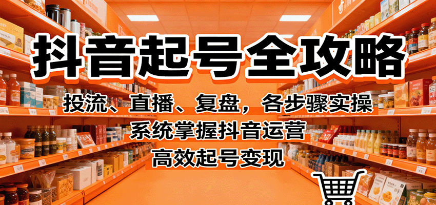 抖音起号全攻略，投流、直播、复盘，各步骤实操，系统掌握抖音运营，高效起号变现-网创吧