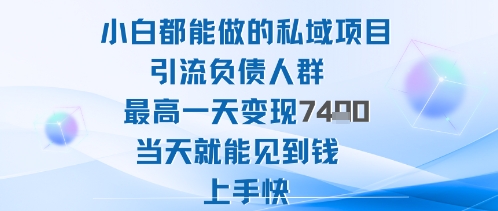 2025年小白都能做的私域项目引流负债人群最高一天变现1k+高变现难度低当天就能见到钱上手快-网创吧