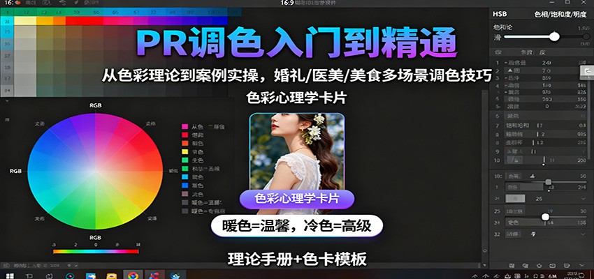 PR调色入门到精通：从色彩理论到案例实操，婚礼/医美/美食多场景调色技巧-网创吧