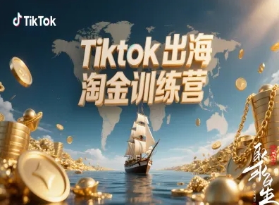 Tiktok出海淘金训练营，跨境电商TK实战变现-网创吧