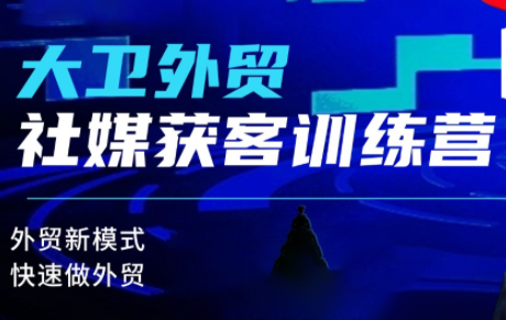 大卫老师·外贸社媒获客独家训练营(更新10月)-网创吧