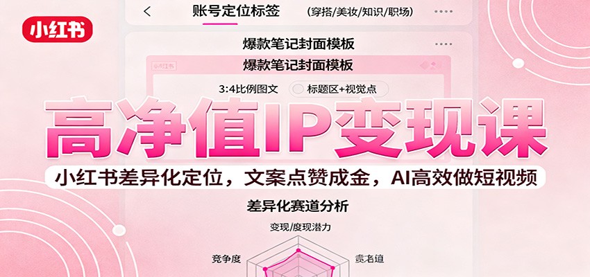 高净值IP变现课：小红书差异化定位，文案点赞成金， AI高效做短视频-网创吧