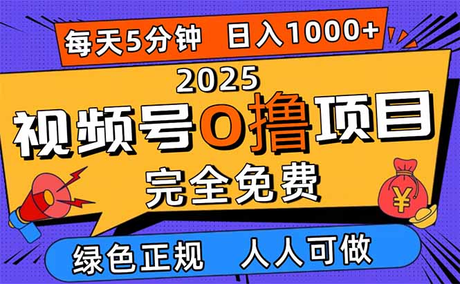 2025视频号0撸项目，5分钟一个号，日入1000+，人人可做-网创吧