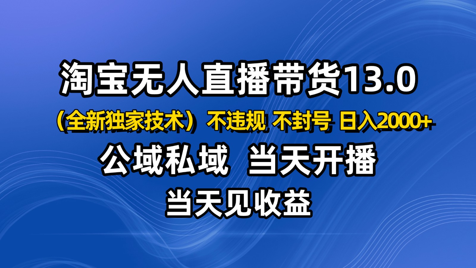 淘宝无人直播13.0，公域私域技术，不封号，不违规 布局下半年旺季赛道，日入2000+-网创吧