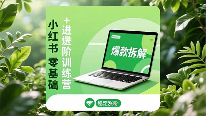 小红书零基础+高阶训练营：安全养号、爆款拆解、长效运营，实现稳定涨粉与变现-网创吧