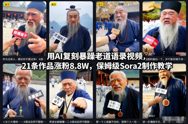 用AI复刻暴躁老道语录视频，21条作品涨粉8.8W，保姆级Sora2制作教学-网创吧